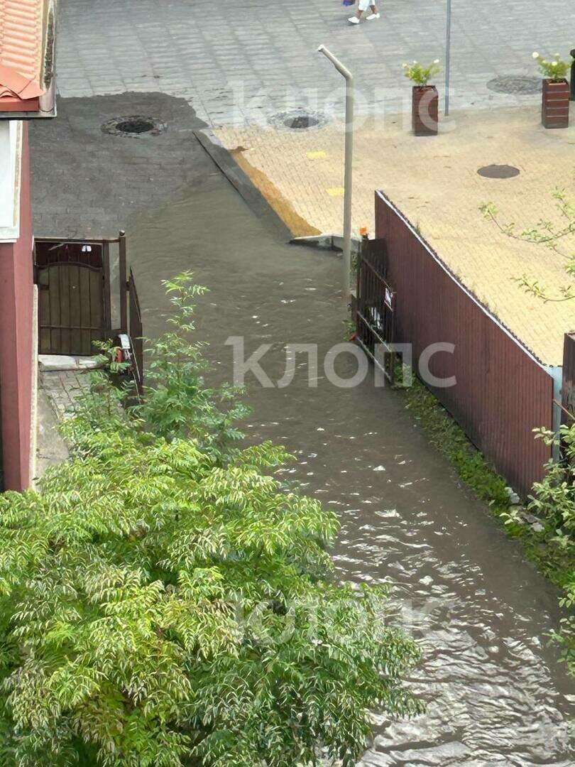 В центре Зеленоградска уже неделю красуется фекальная лужа